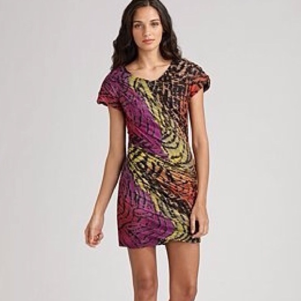 Diane Von Furstenberg Erosa Dress